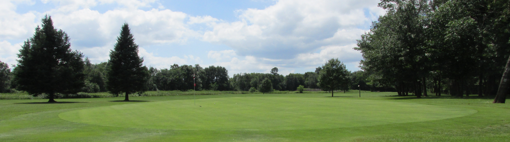 view of golf course green